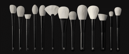 Cosmetic Brushes